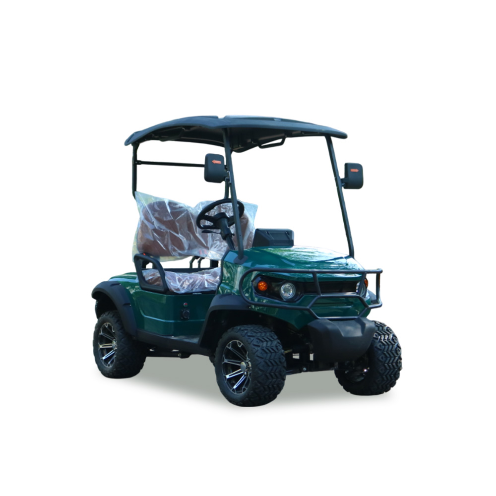 Street Legal 2 Person Electric Golf Cart Model C