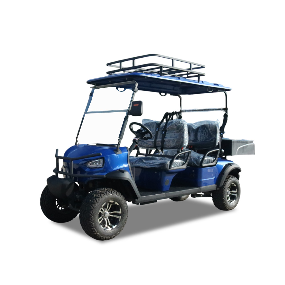 48V 100AH 4 Person Electric Lead Batteries With Cargo Box Golf Cart Model B