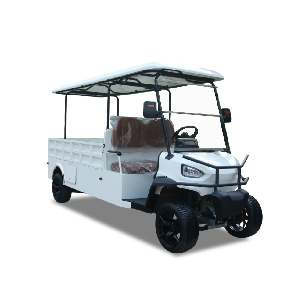 Customized 48V Lithium Battery 2 Seat Multifunctional Golf Cart Model B