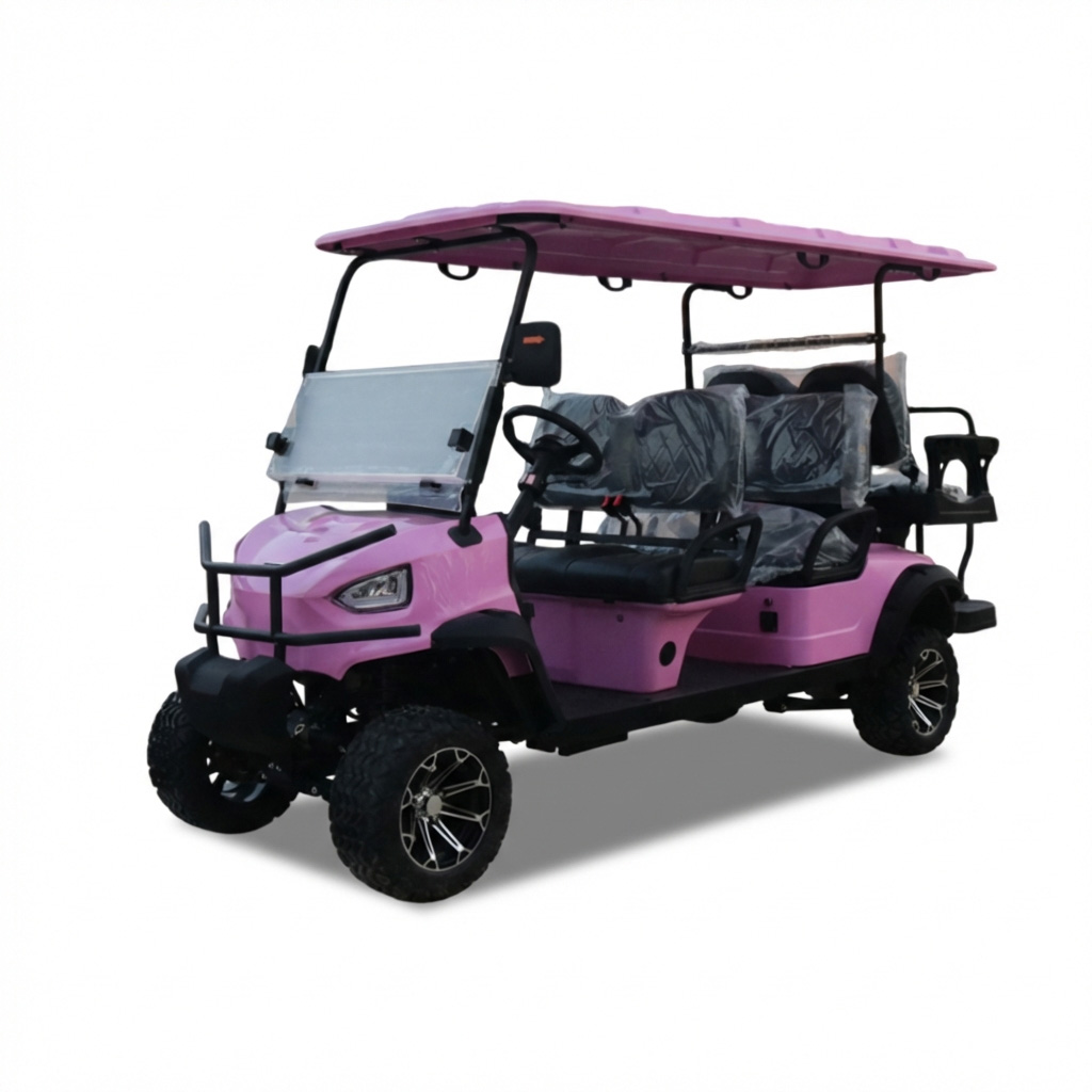 48V 100AH 6 Person Electric Lead Batteries Golf Cart Model B