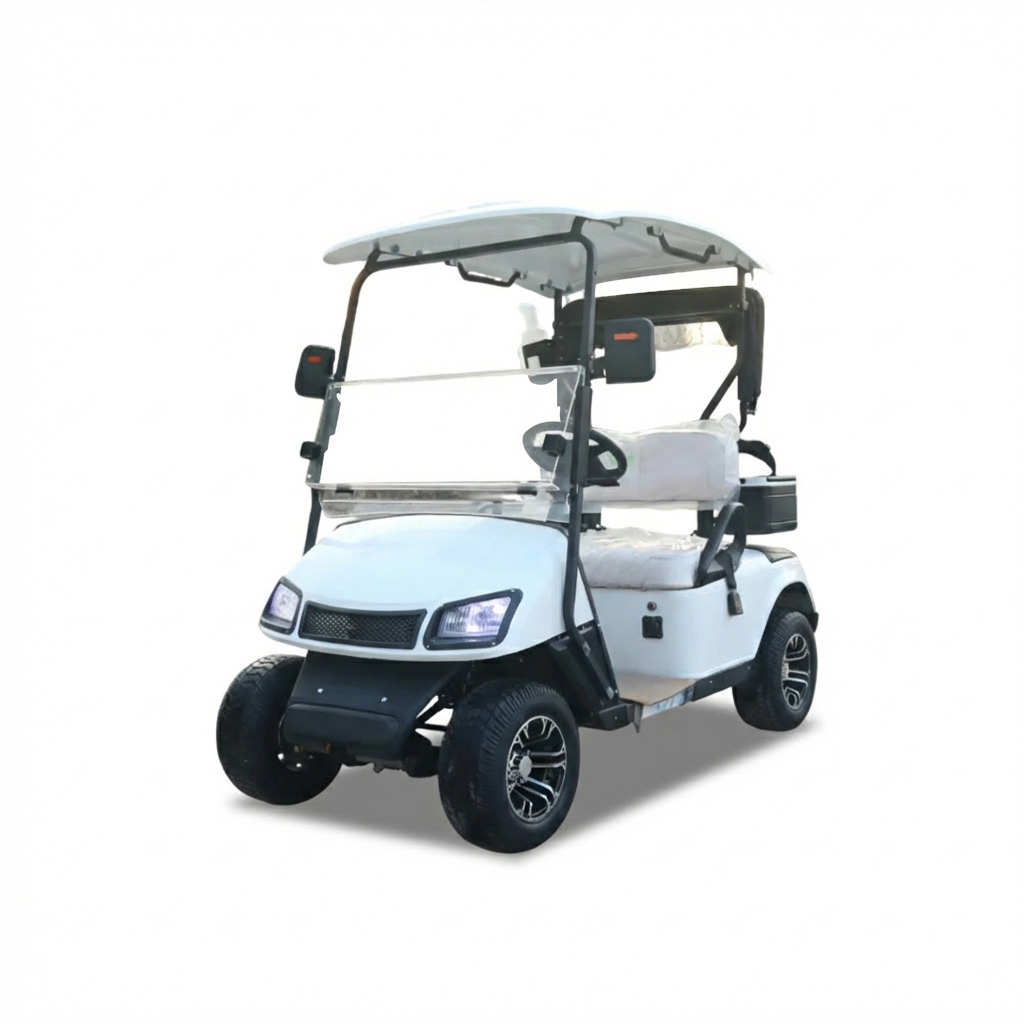 48V 100AH Lead Batteries 2 Seater Street Legal Golf Cart Model A